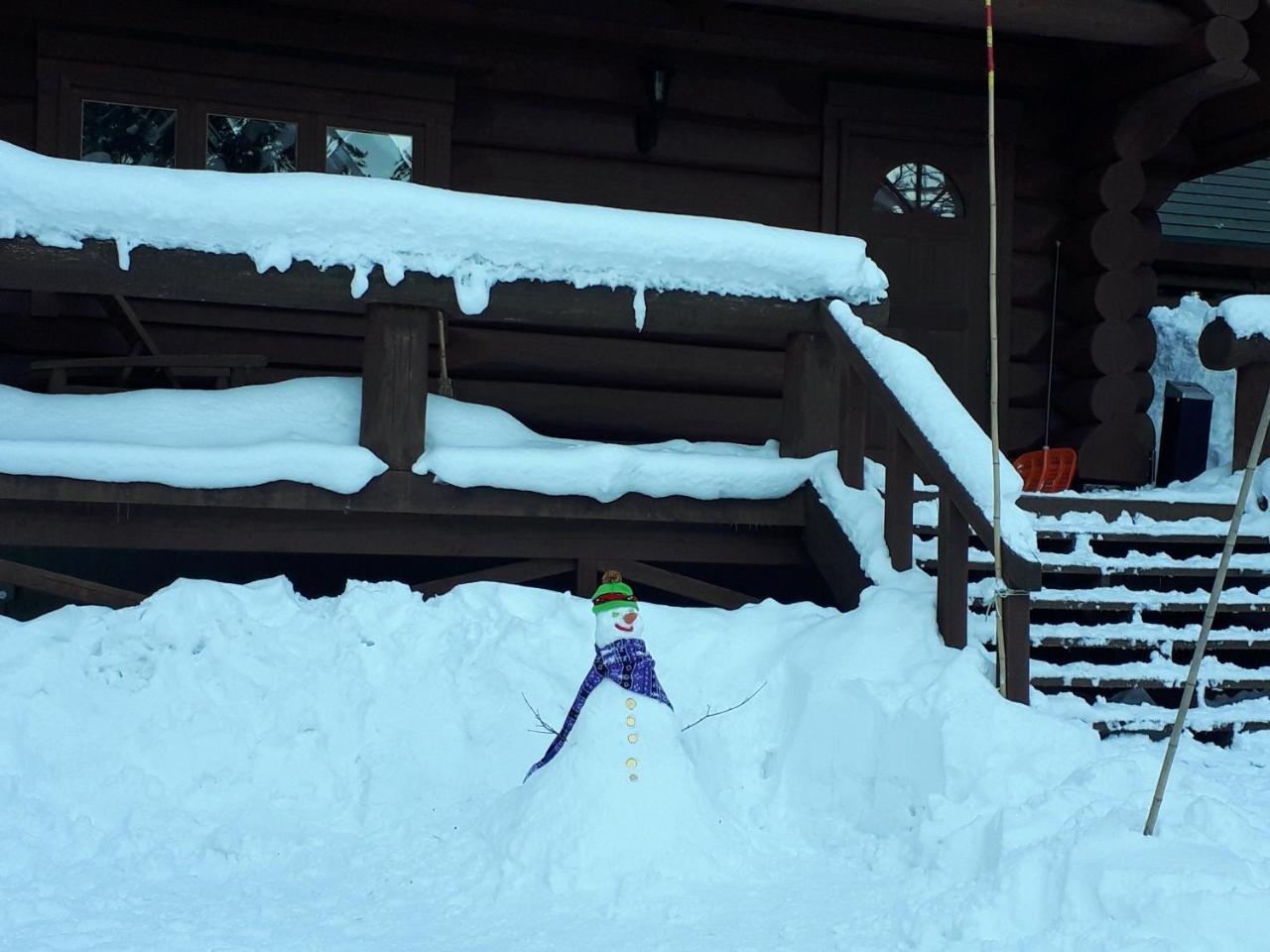 Campagne Hakuba Villa Phòng bức ảnh